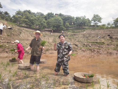 在“象牙塔”与“泥巴墙”之间 在“象牙塔”与“泥巴墙”之间