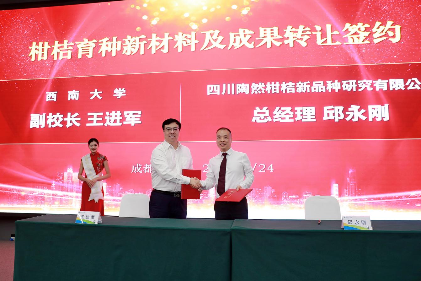 文件名称:image4.jpeg原图大小:NaNGB